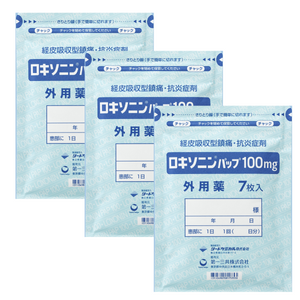 ロキソニンパップ100mg　各種　(リードケミカル)